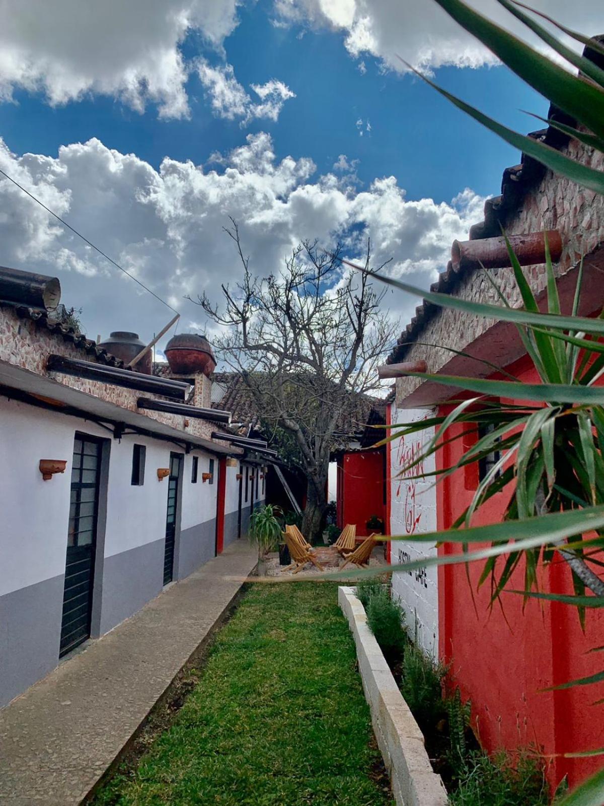 ホテル Berlin61 San Cristóbal de Las Casas エクステリア 写真