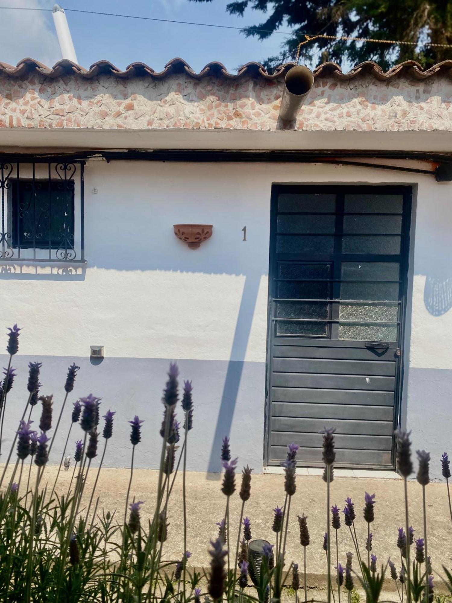 ホテル Berlin61 San Cristóbal de Las Casas エクステリア 写真