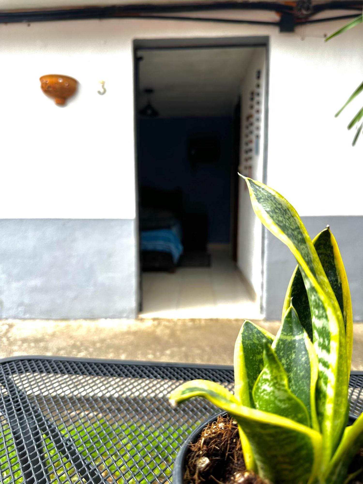 ホテル Berlin61 San Cristóbal de Las Casas エクステリア 写真